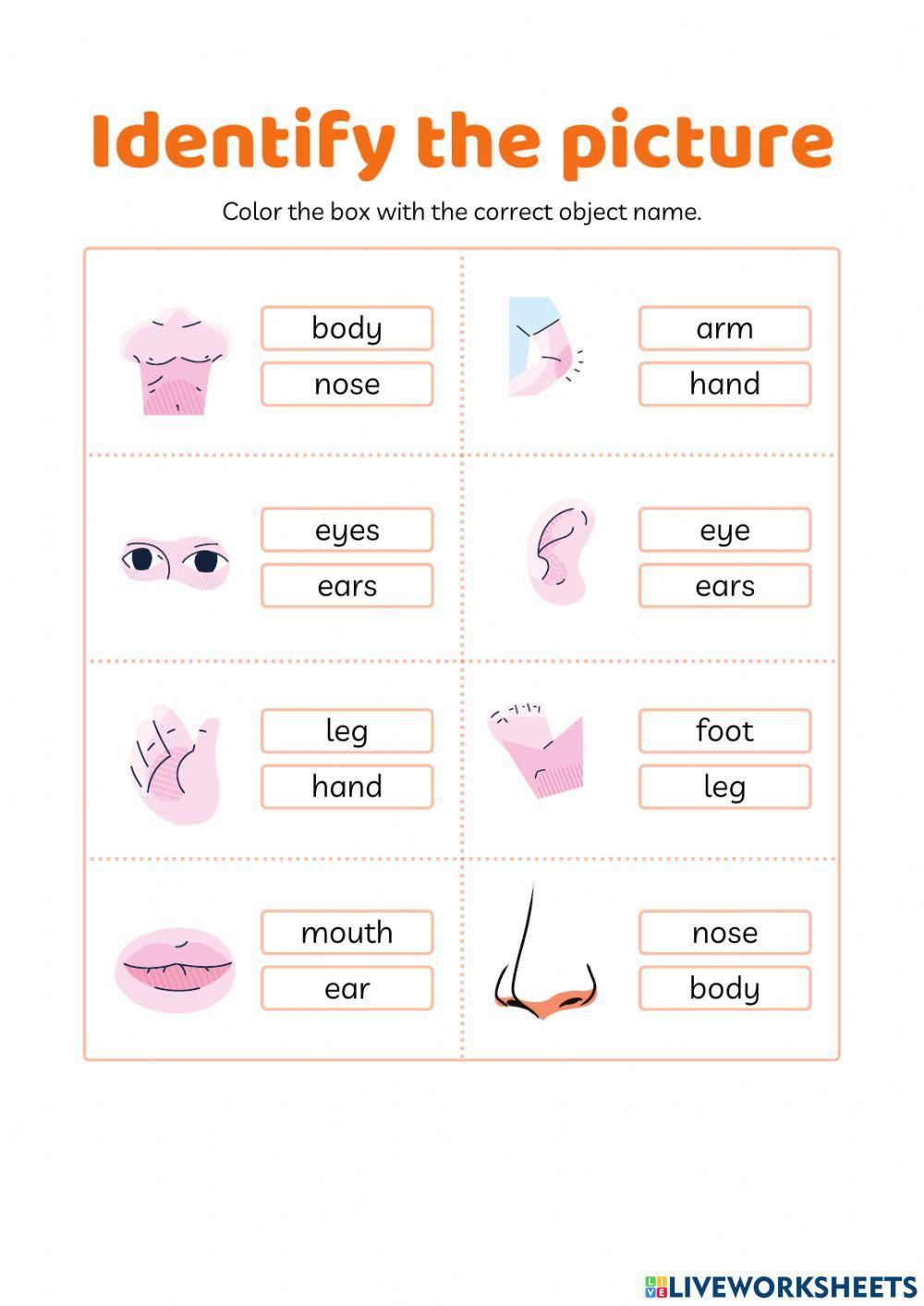 Everybody up starter - unit 8 (1)