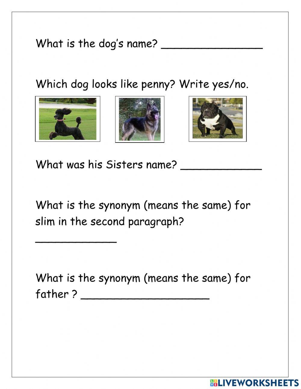 Comperhension question