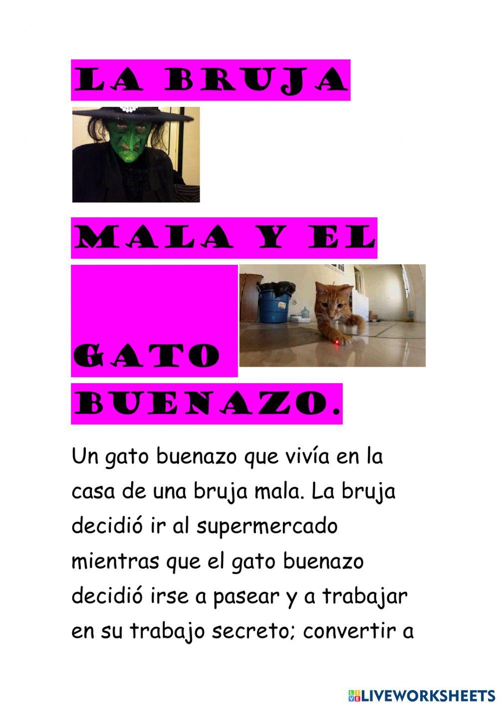La bruja mala y el gato buenazo