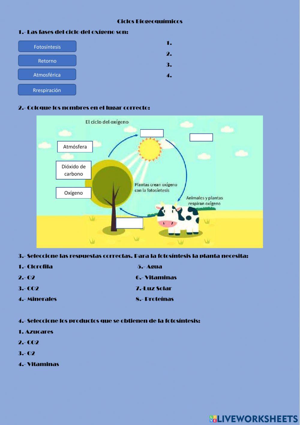 Ciclos Biogeoquimicos