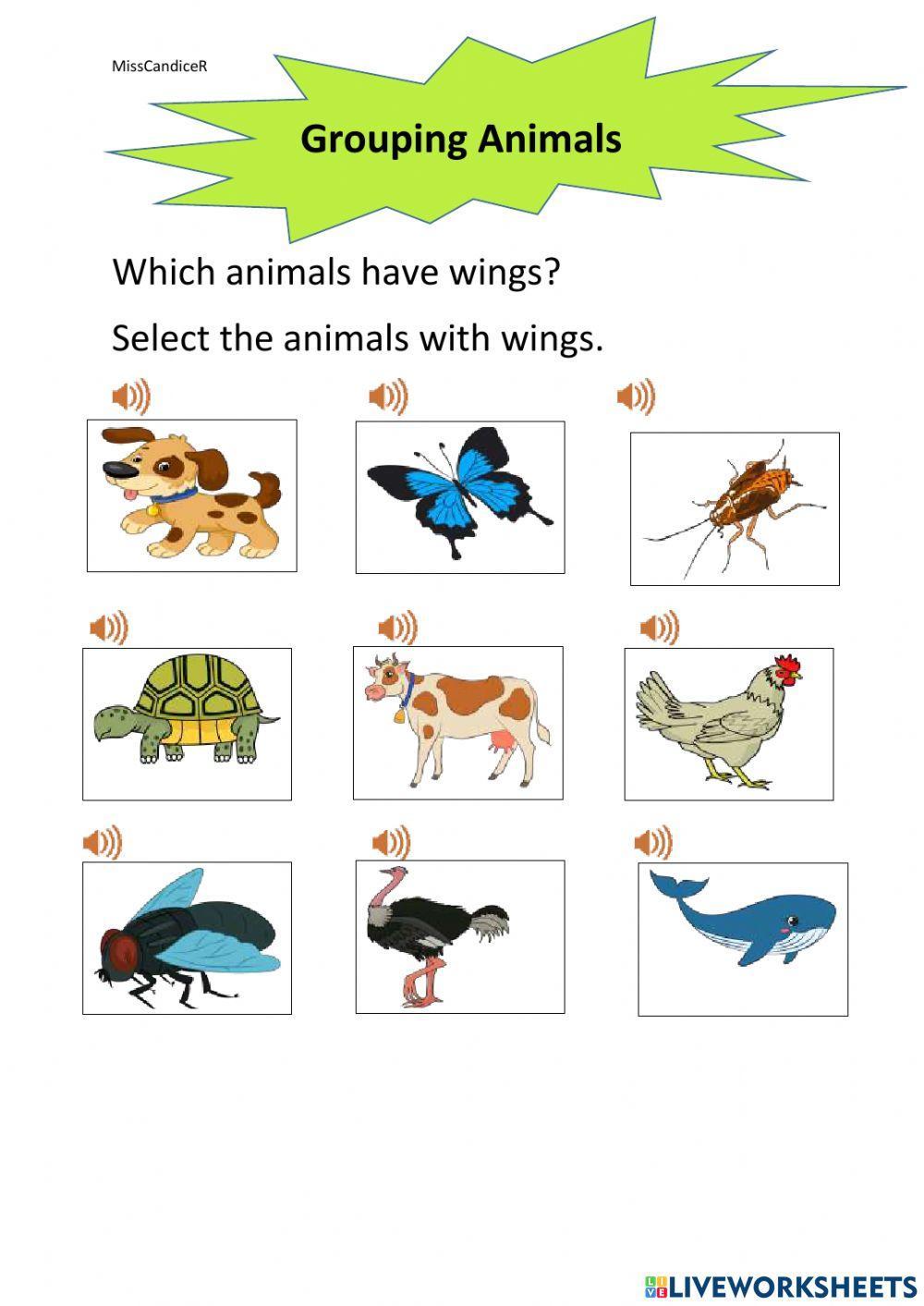 Grouping animals Grouping animals