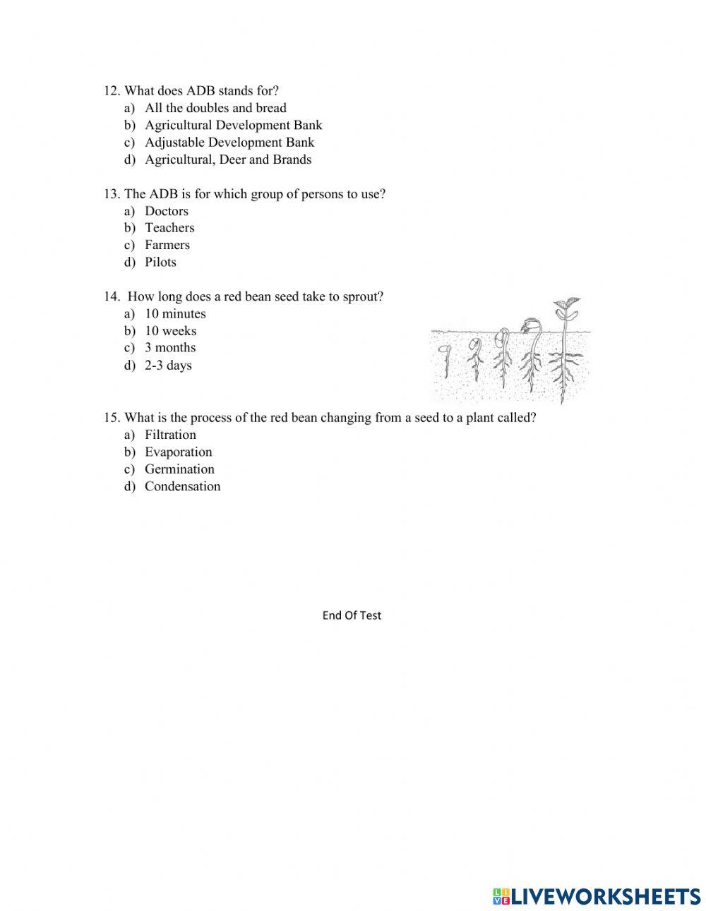 Christmas Science Test