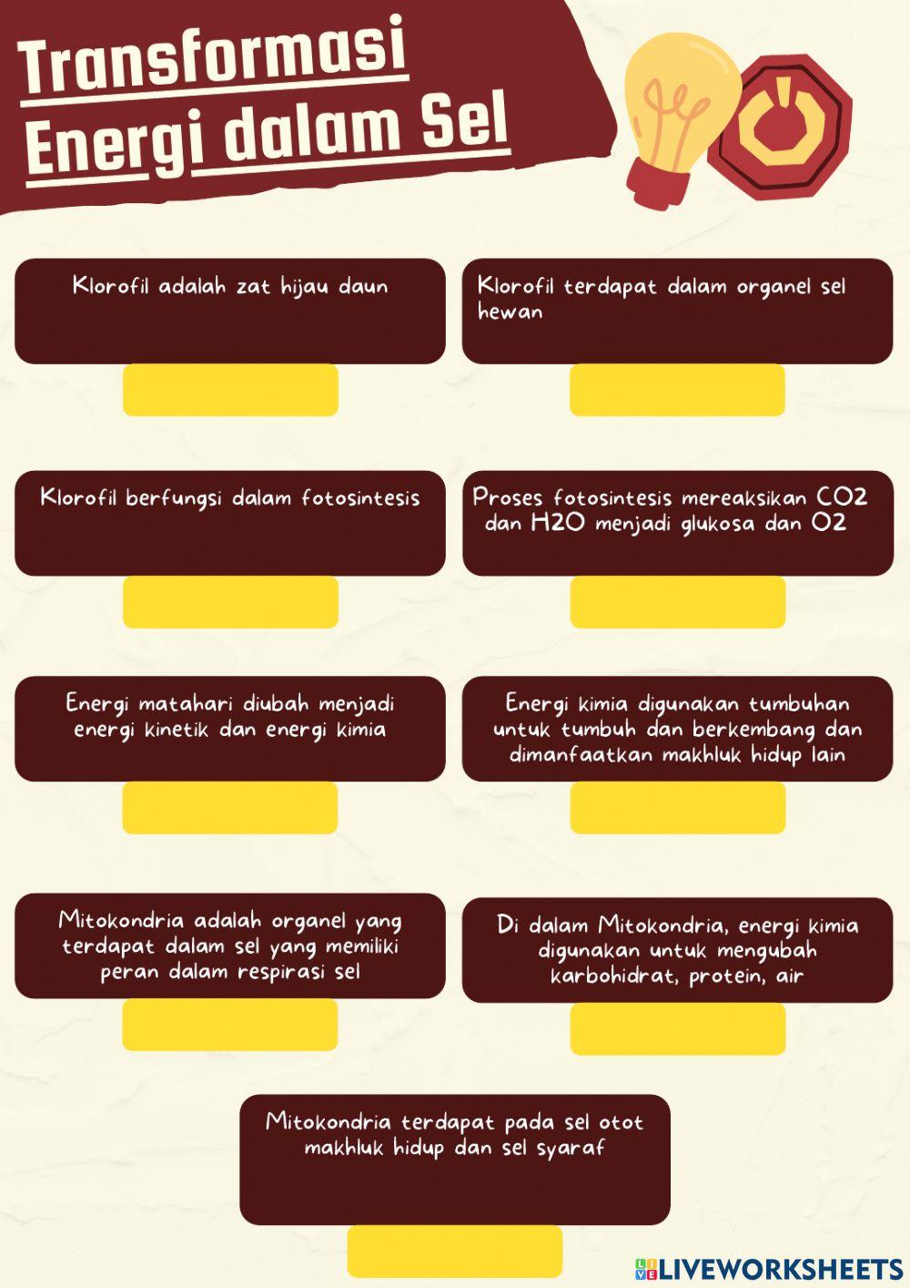 Transformasi energi dalam sel dan Metabolisme Sel