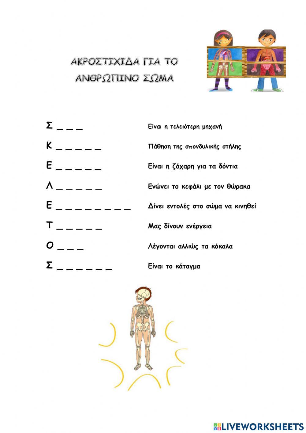 Ακροστιχιδα για το ανθρωπινο σωμα