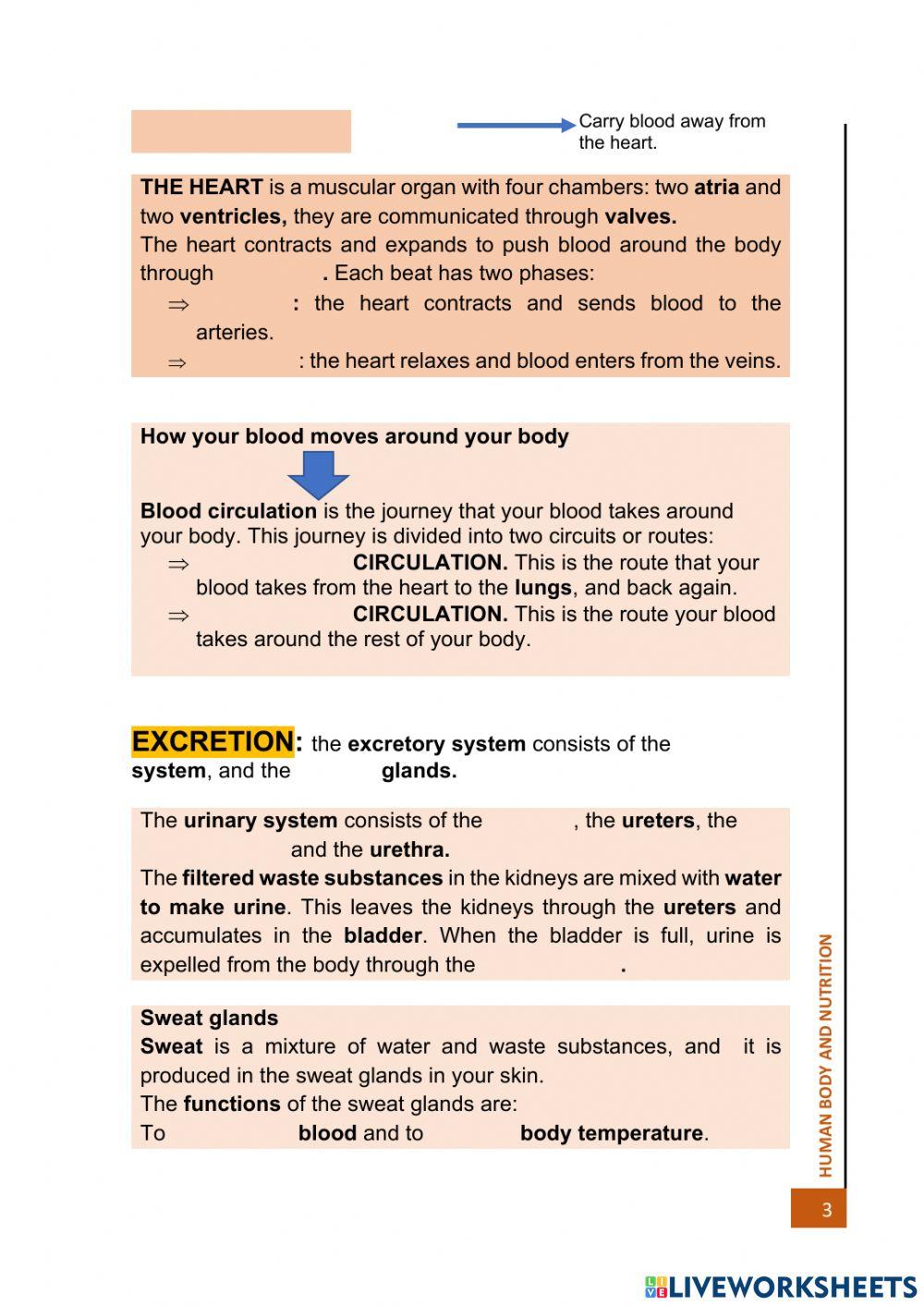 THE Human body and nutrition