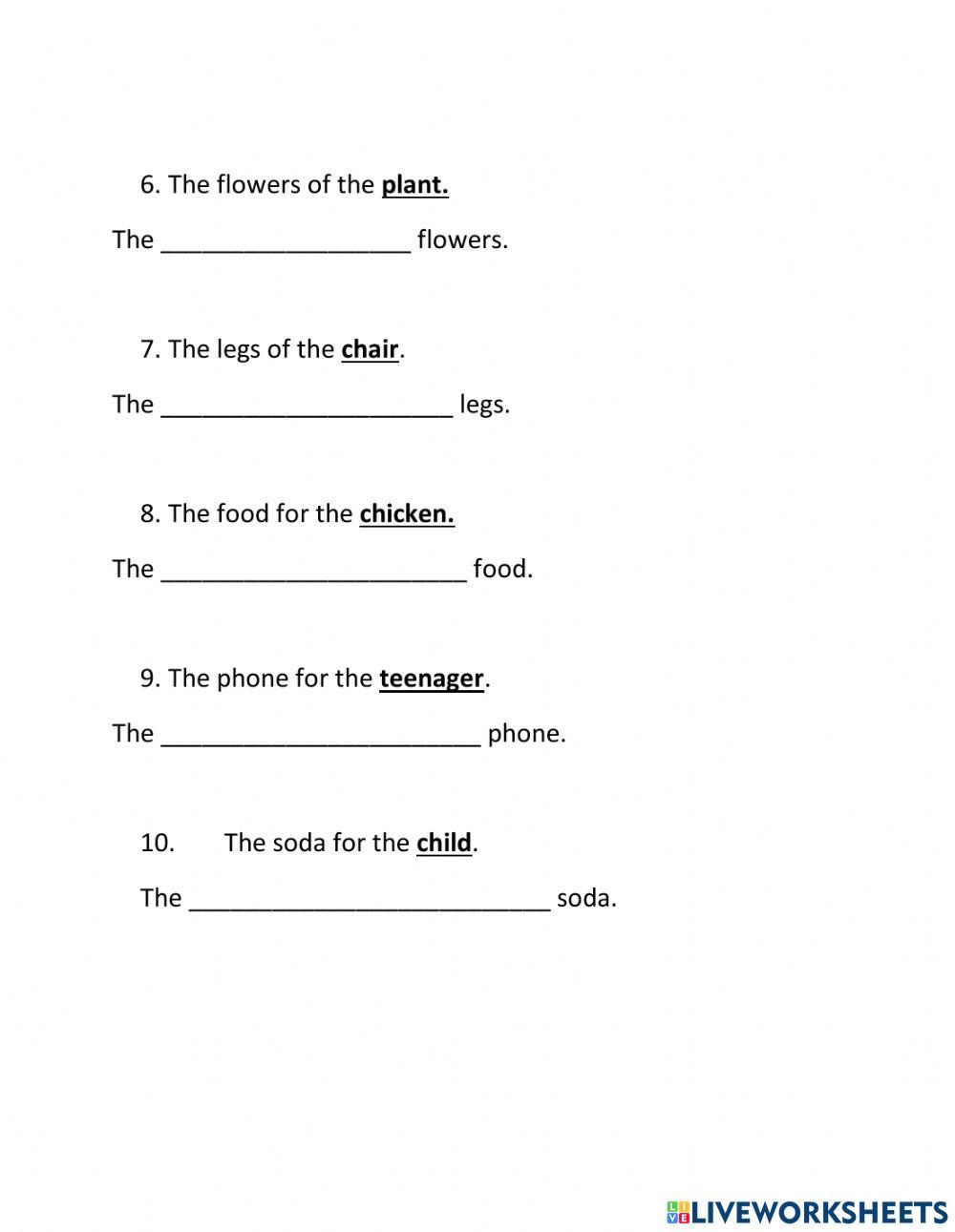 Singular Possessive Nouns