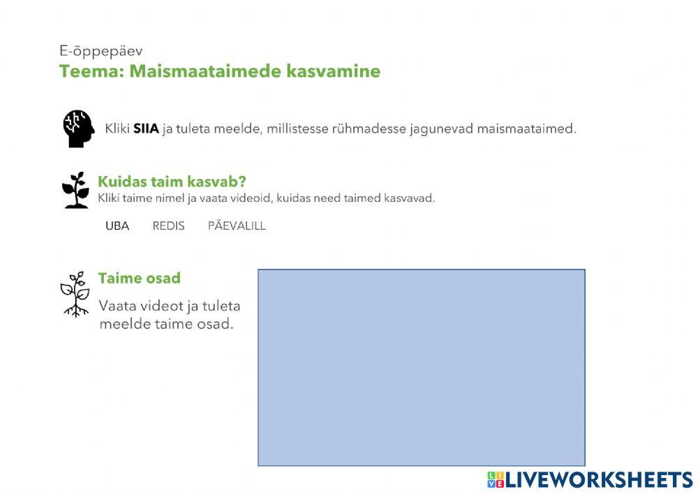 Maismaataimede kasvamine