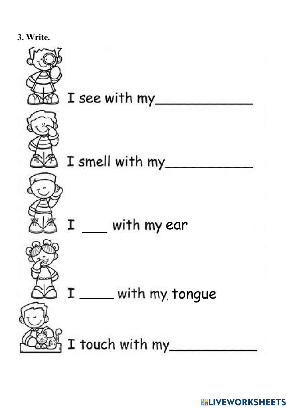 Grade 2 - Senses worksheet 2 week 9
