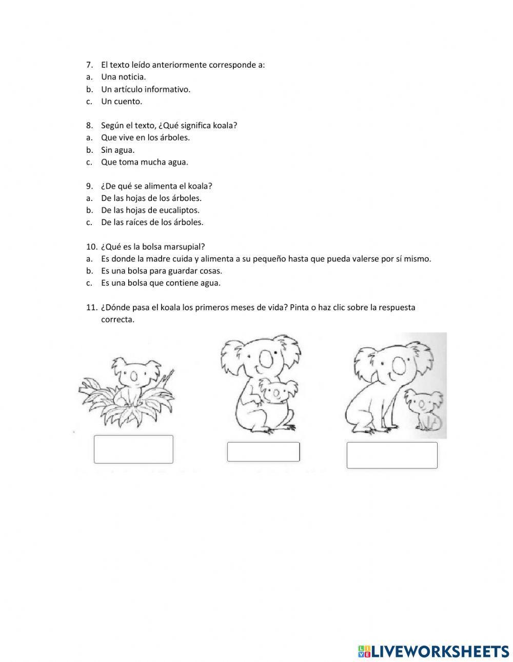 Comprensión texto informativo