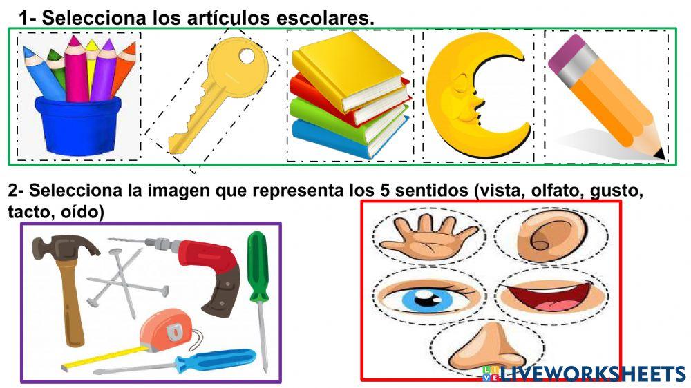 Guía conocimiento del medio