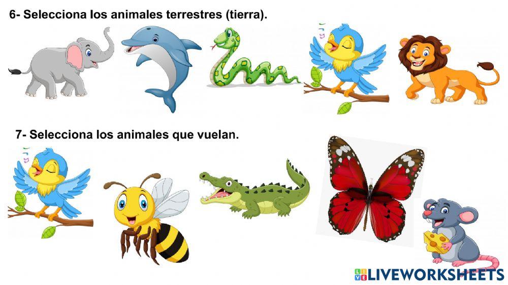 Guía conocimiento del medio