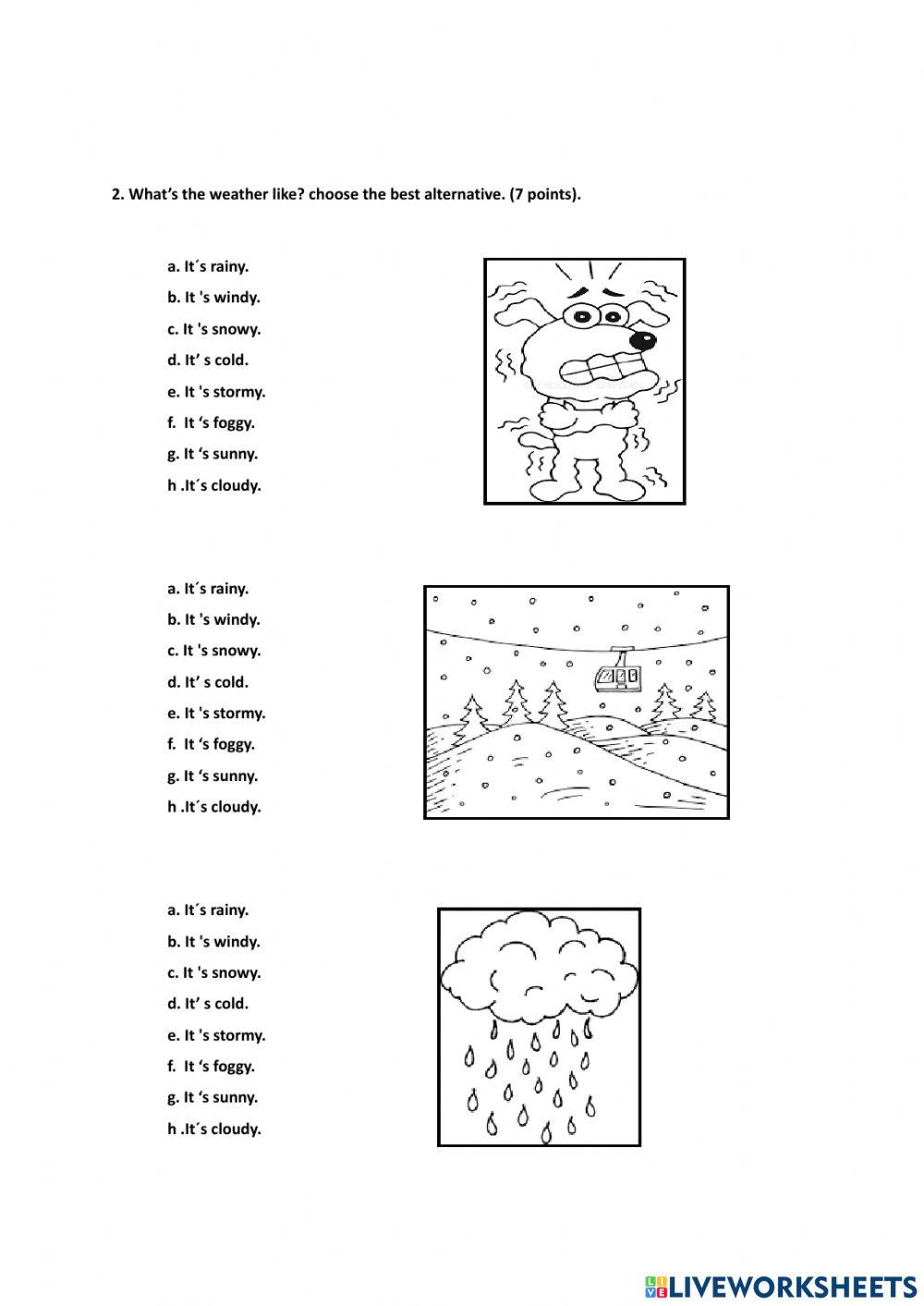 Test sumativo 3rd grade.