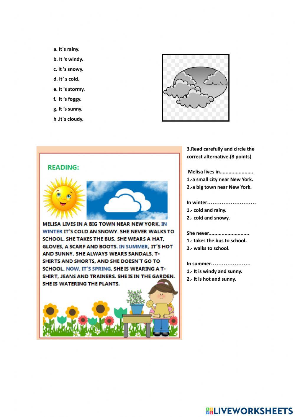 Test sumativo 3rd grade.