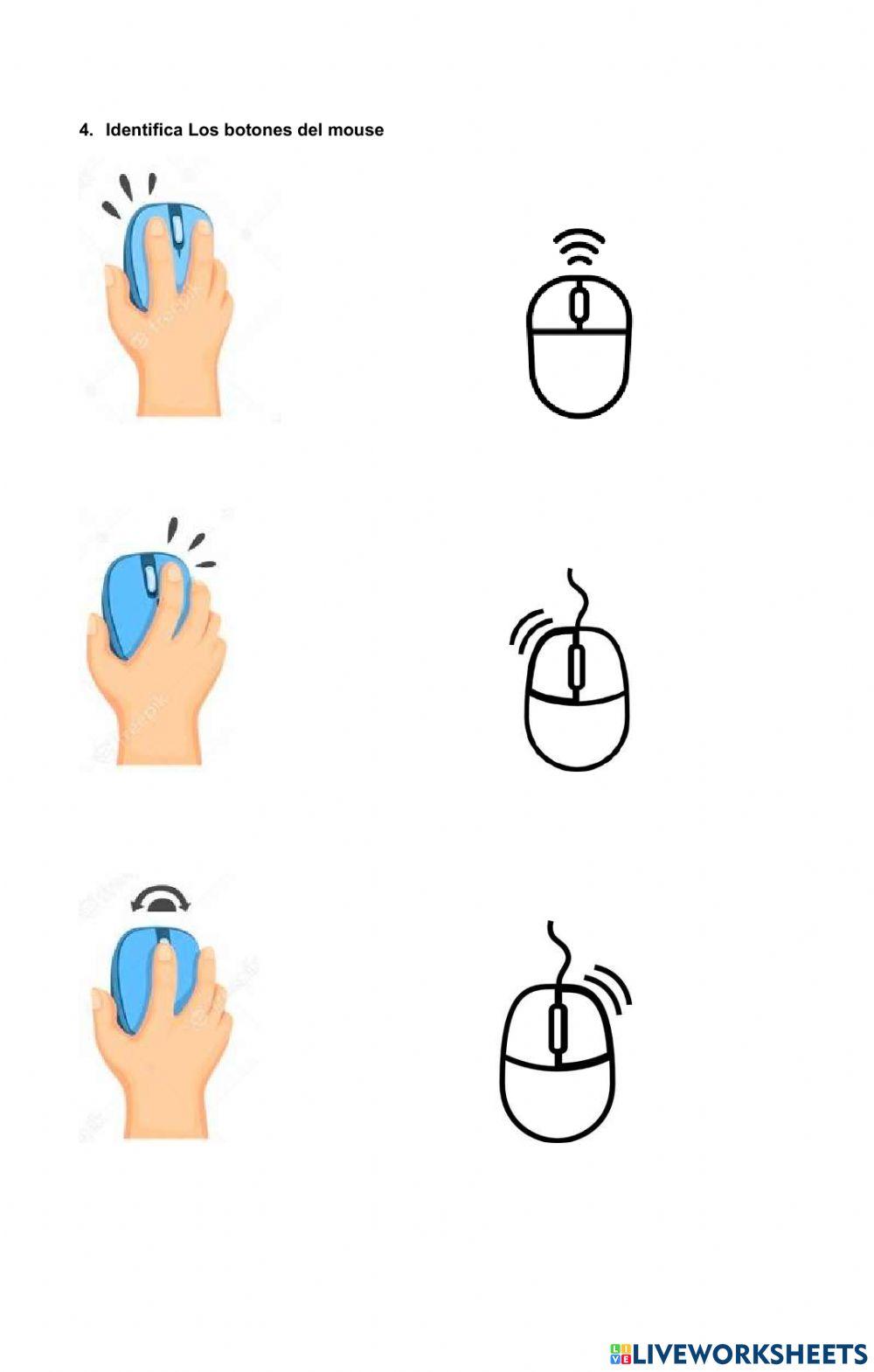 Informática partes del computador