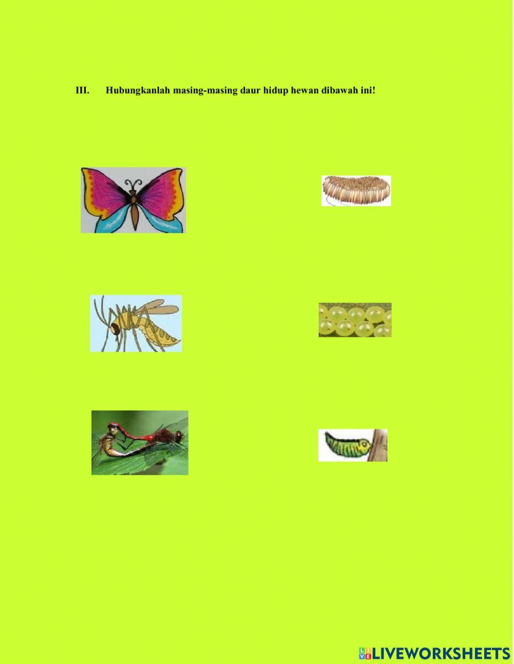 Peduli Terhadap Makhluk Hidup