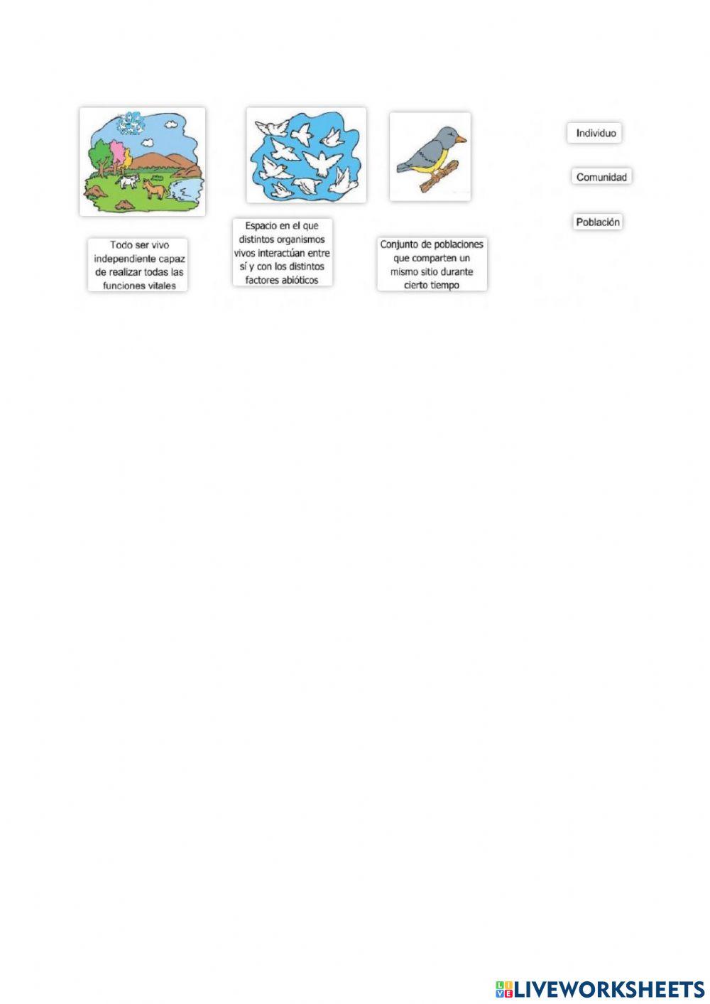 Factores bioticos y abioticos