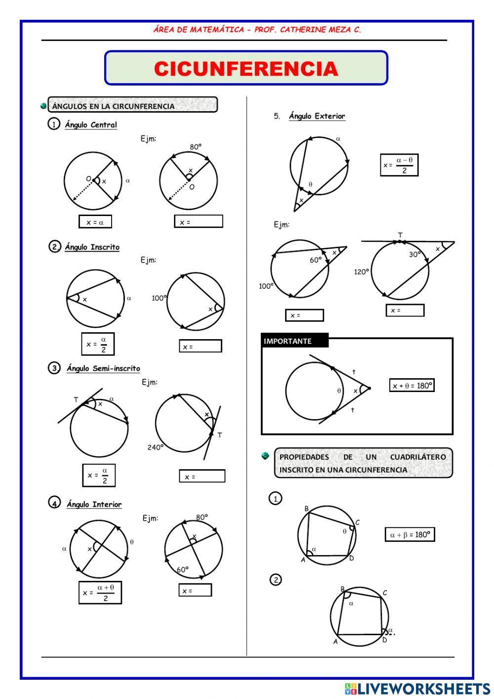Ángulos en la circunferencia