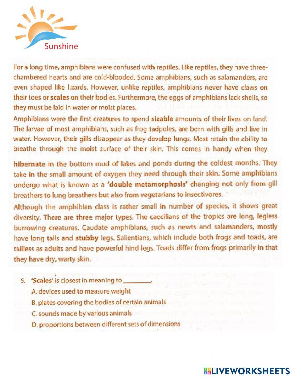 THPT Trắc nghiệm khách quan - guessing vocabulary