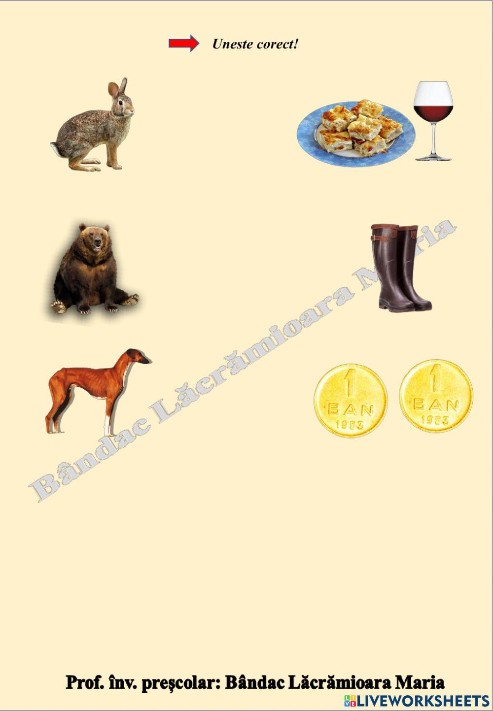 Ciubotelele ogarului