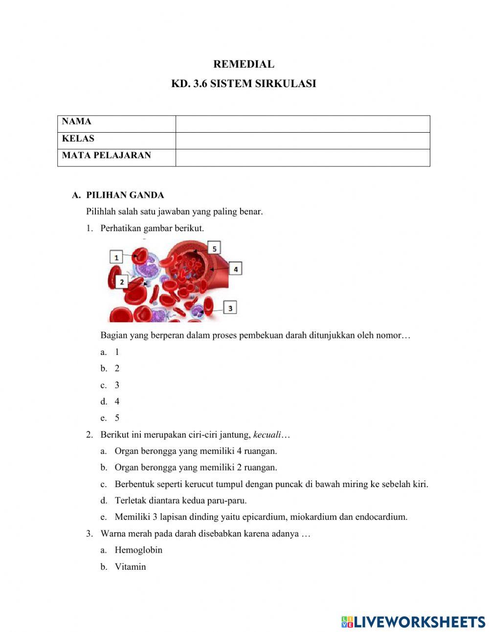 Remedial Sistem Sirkulasi
