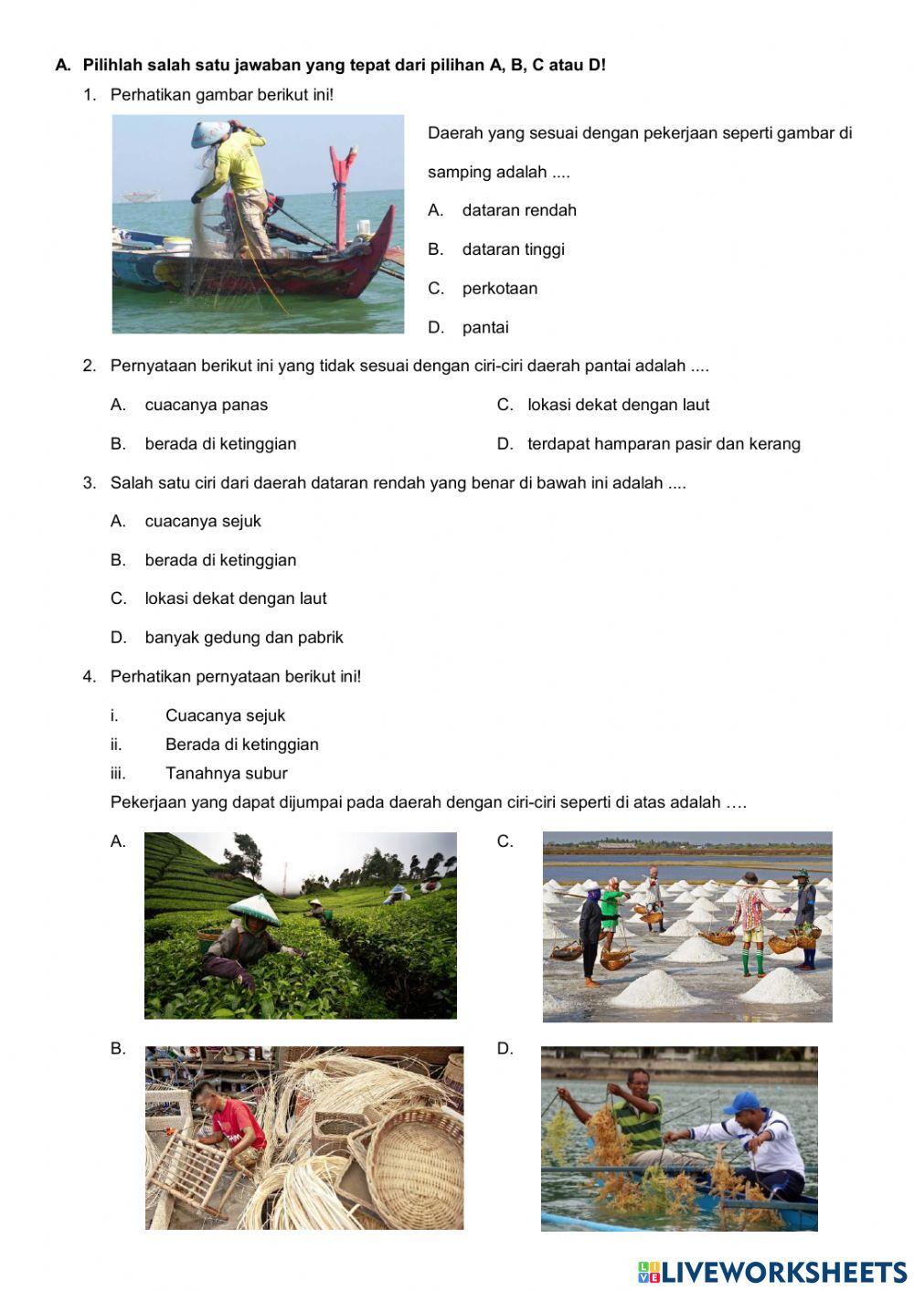 PH IPS -Jenis Pekerjaan