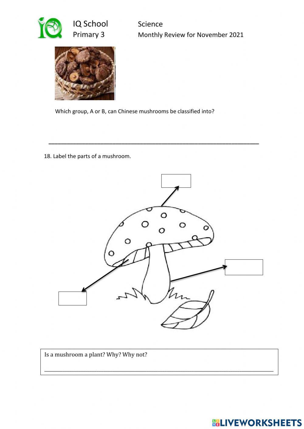 Science Monthly Test- Nov