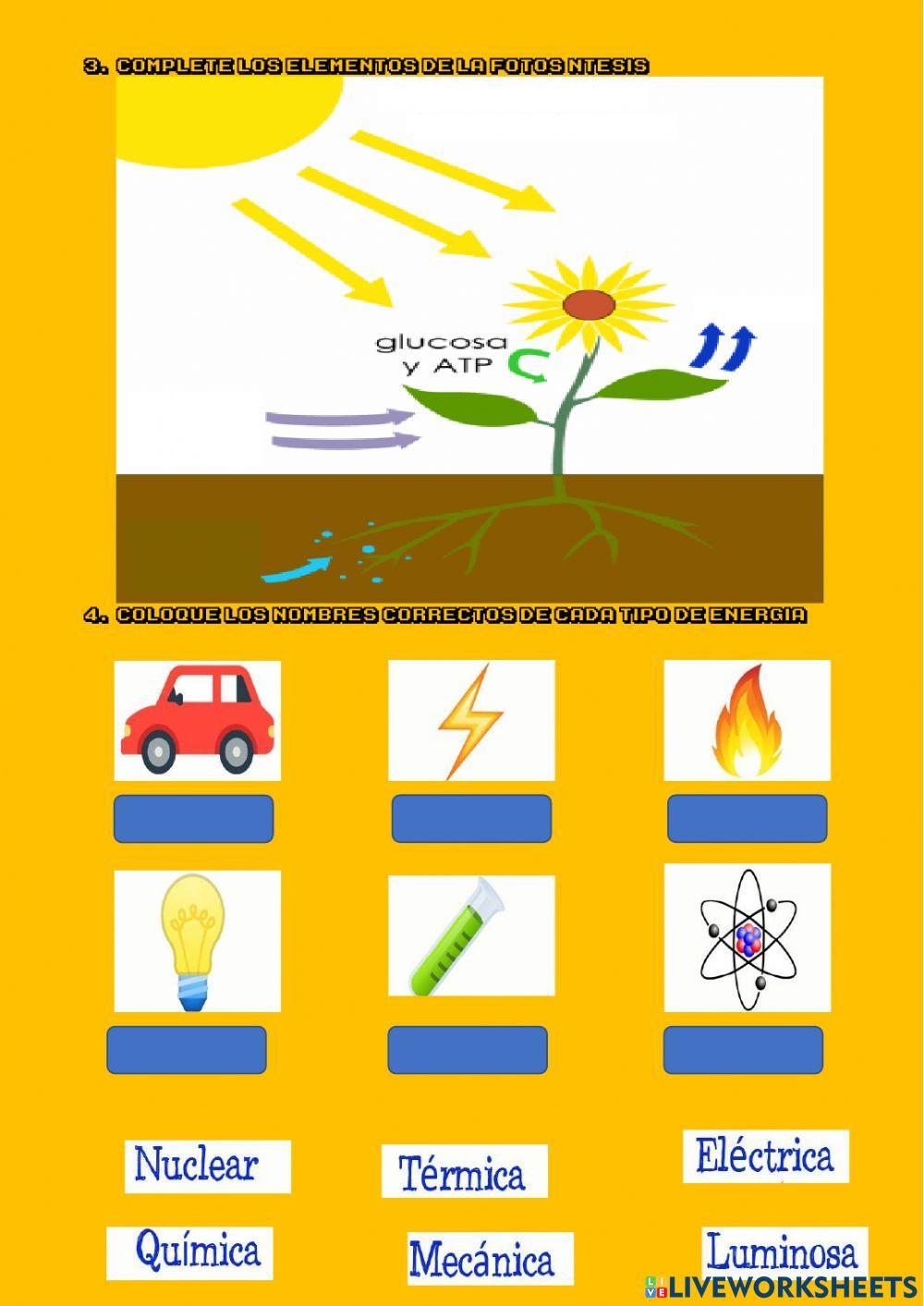 Leccion ciencias naturales