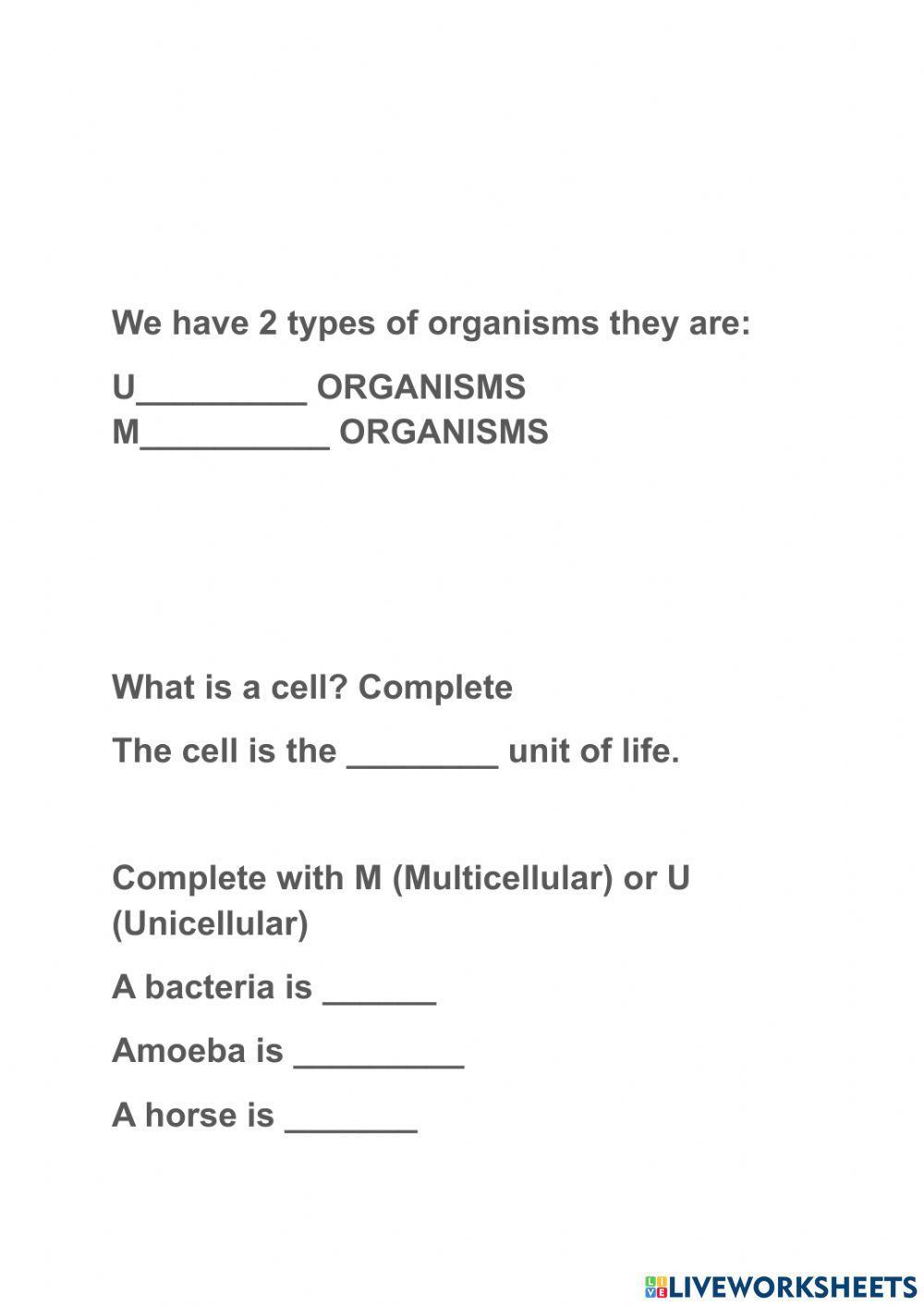 1678450 unicellular and multicellular organisms