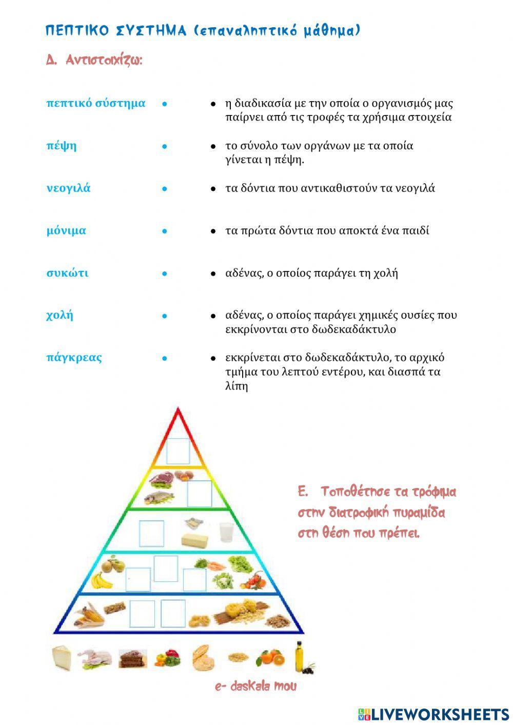 Φυσική Ε΄- Πεπτικό - επανάληψη