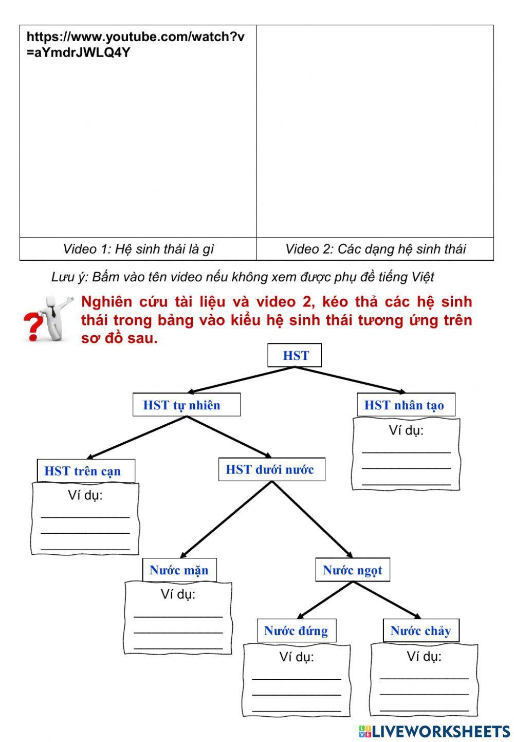 Sinh 12 - Bài 42 Hệ sinh thái