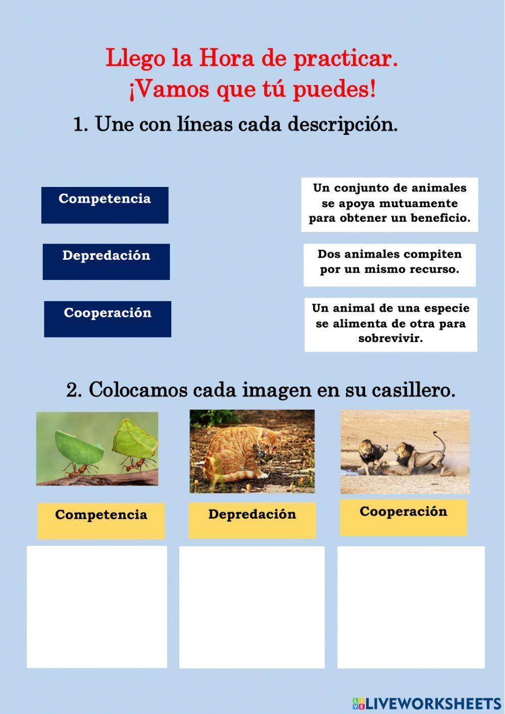 Relaciones entre los animales