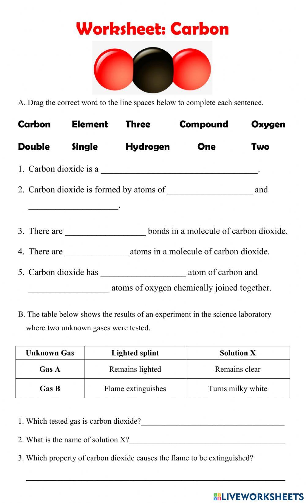 Carbon Worksheet