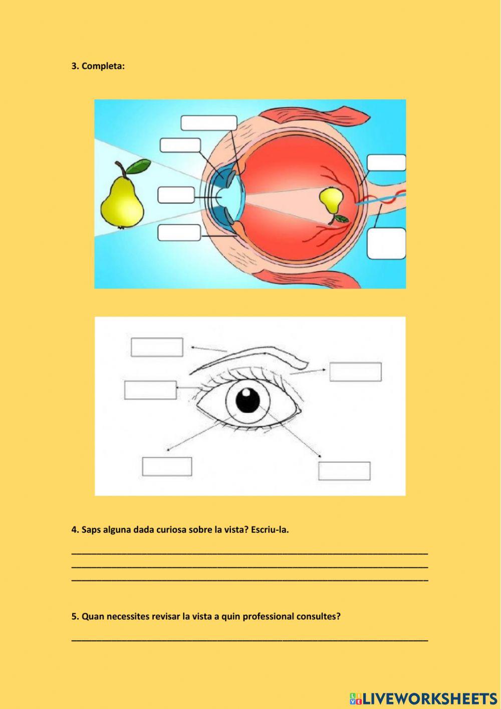 El sentit de la vista