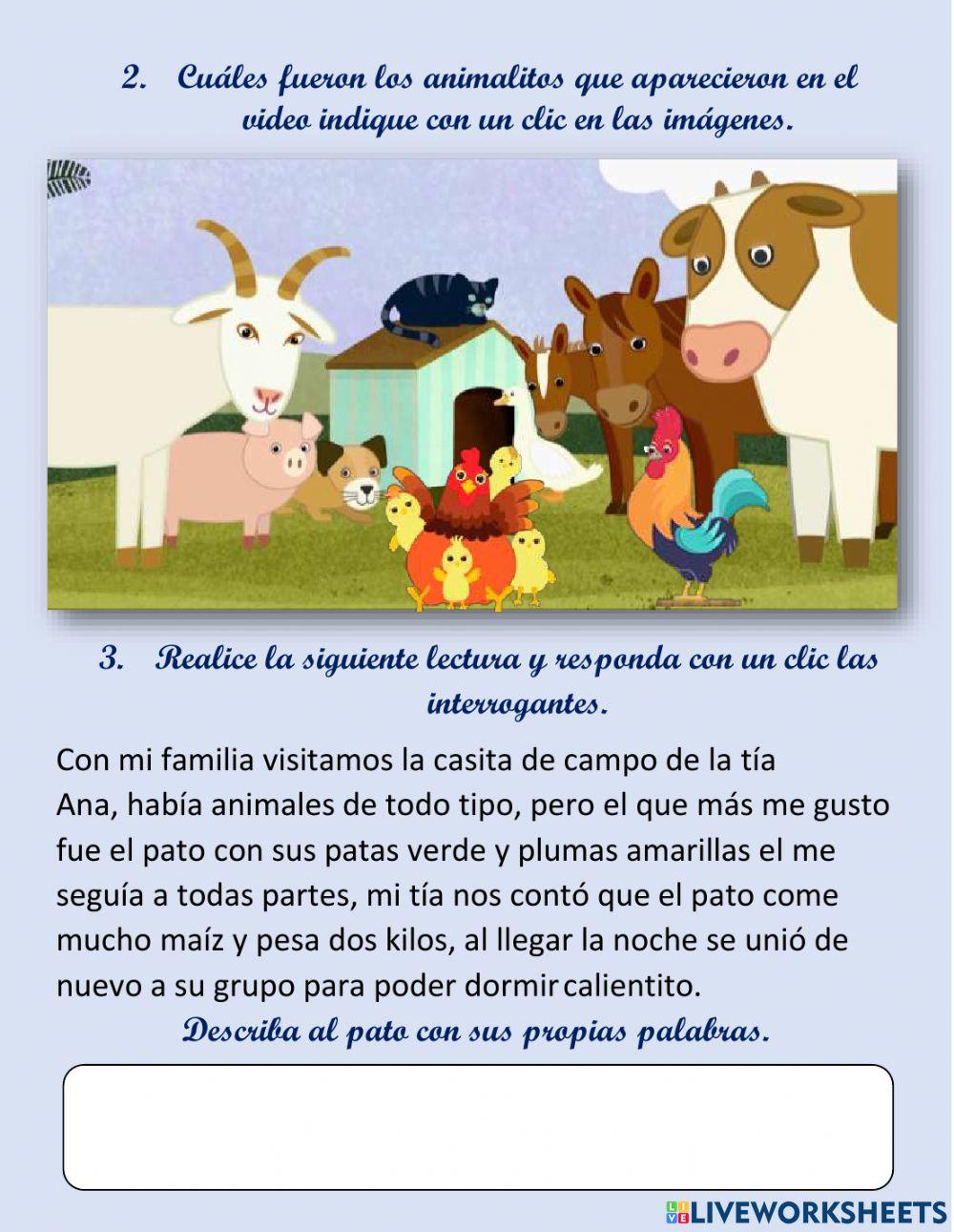 Observar , escuchar y responder.