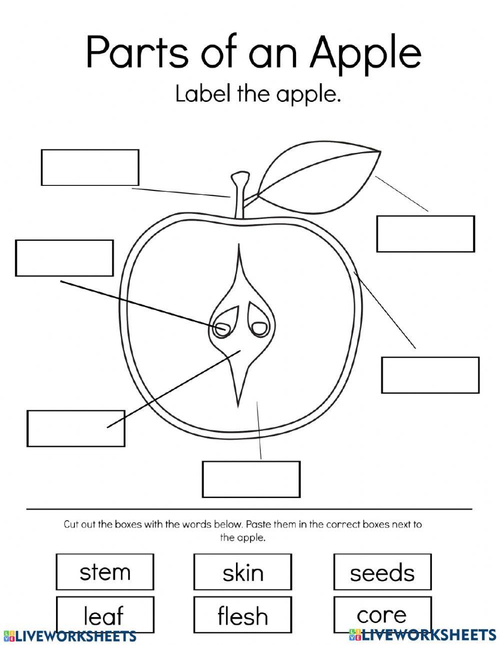 fruit fruit