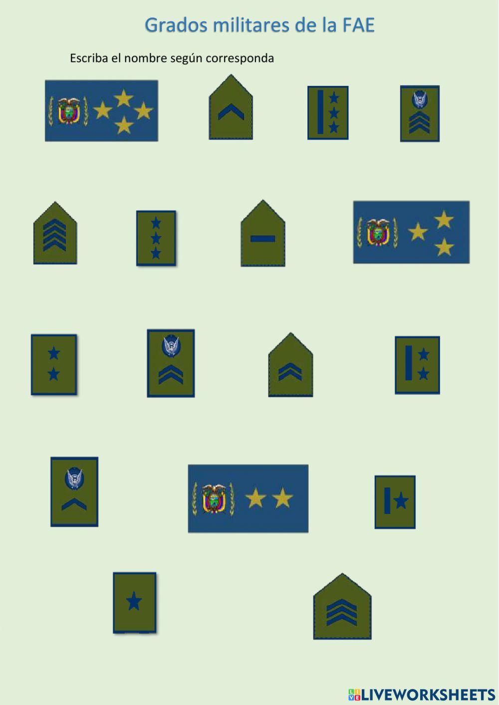 Grados de la FAE Grados de la FAE