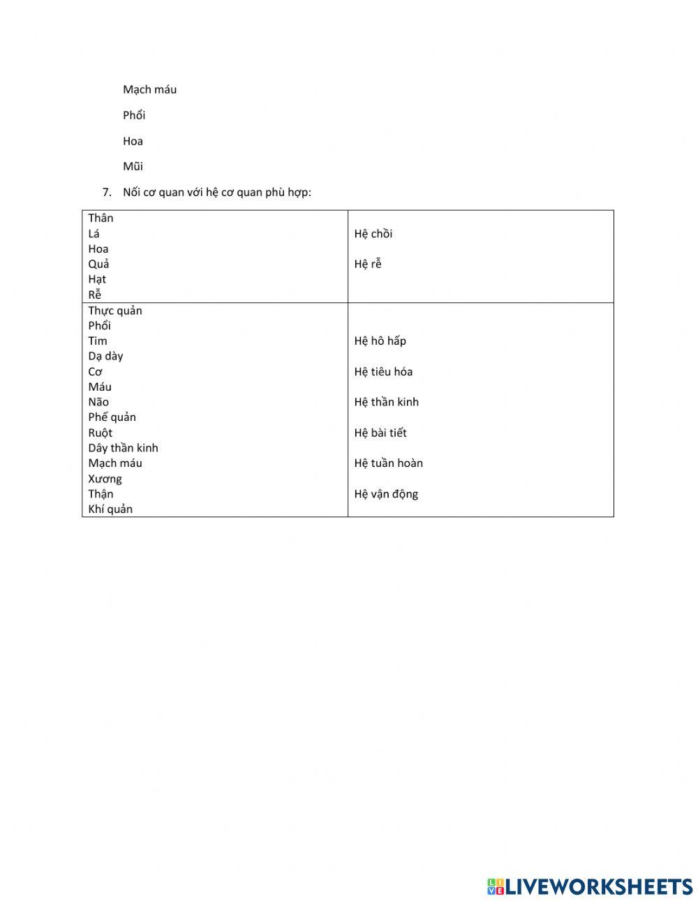 Từ tế bào đến cơ thể