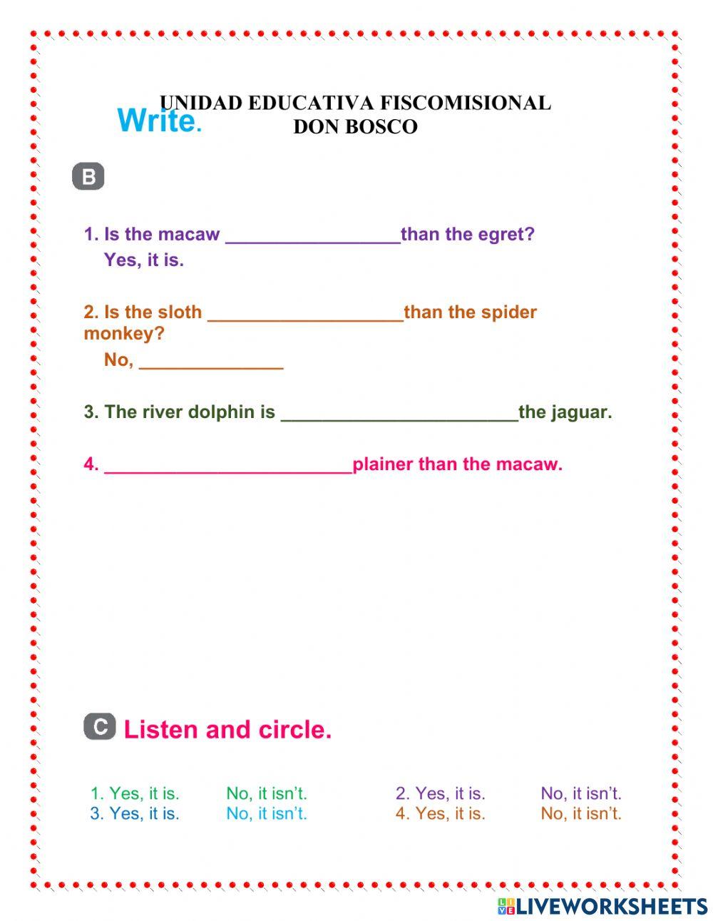 The amazon rain forest