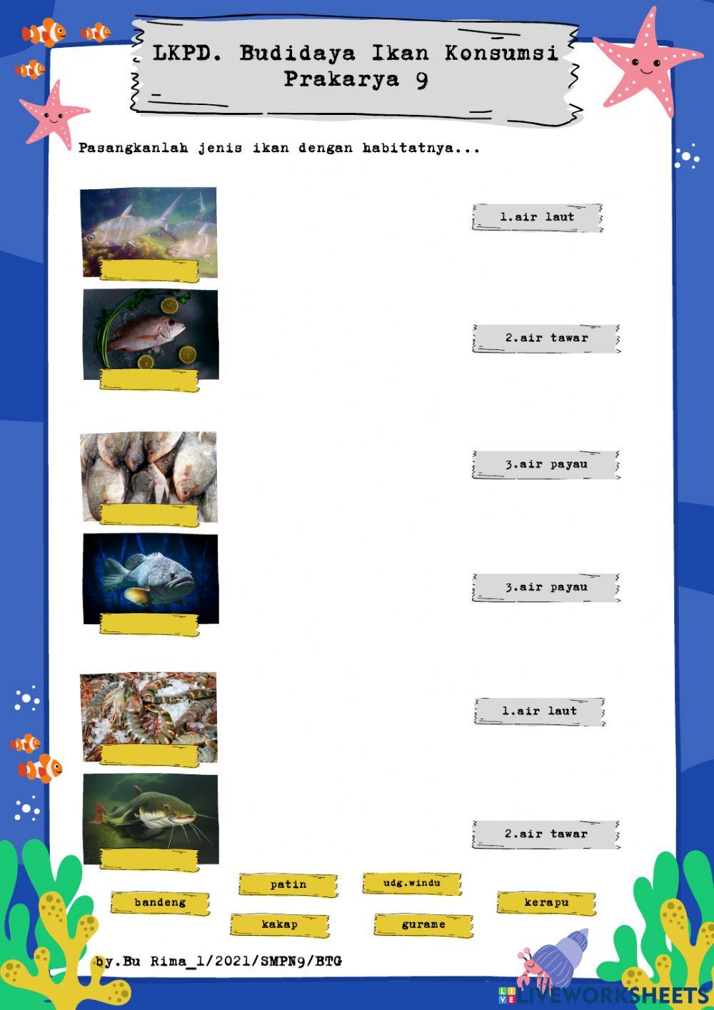 Komoditas Ikan Konsumsi