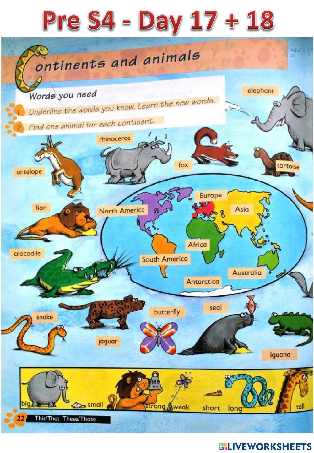 Day 17+18 Grammar Pre S4