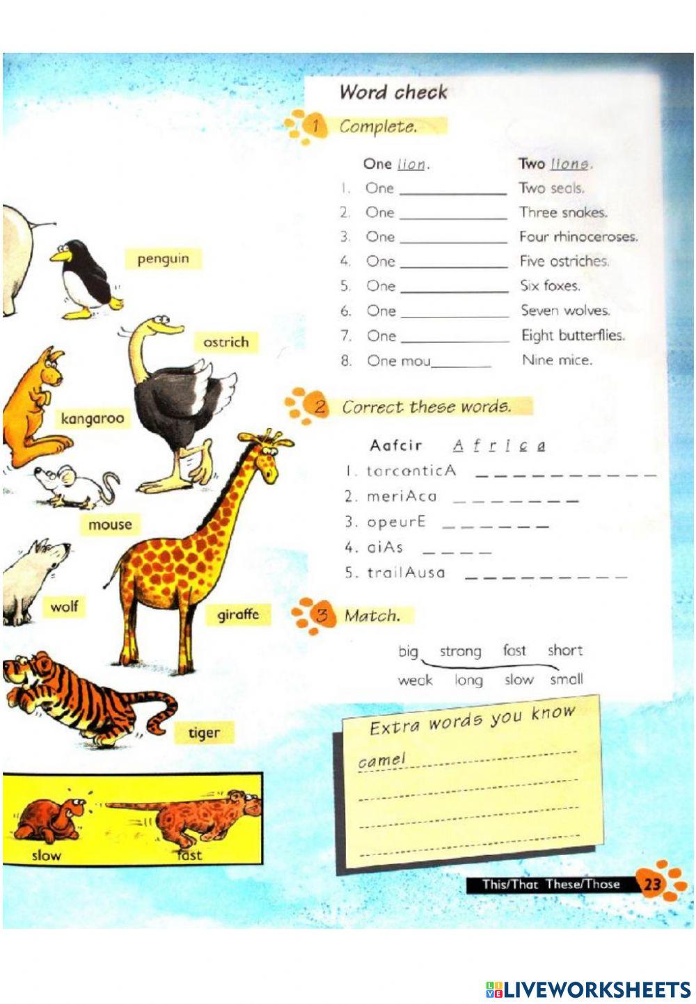 Day 17+18 Grammar Pre S4