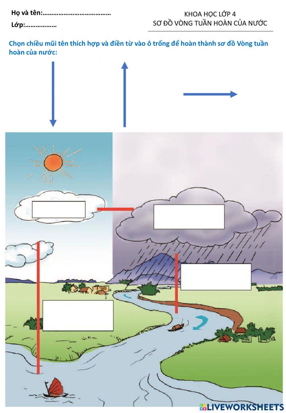 Vòng tuần hoàn của nước