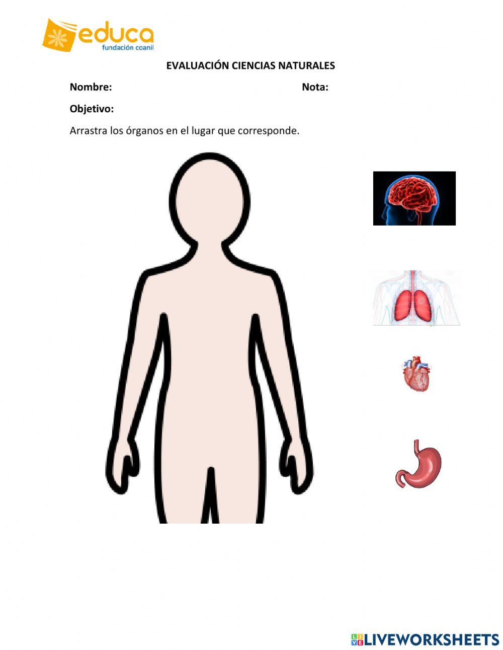 Evaluación ciencias naturales