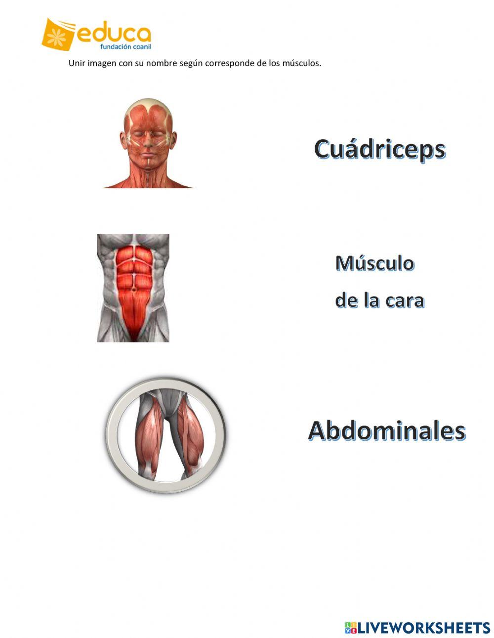 Evaluación ciencias naturales