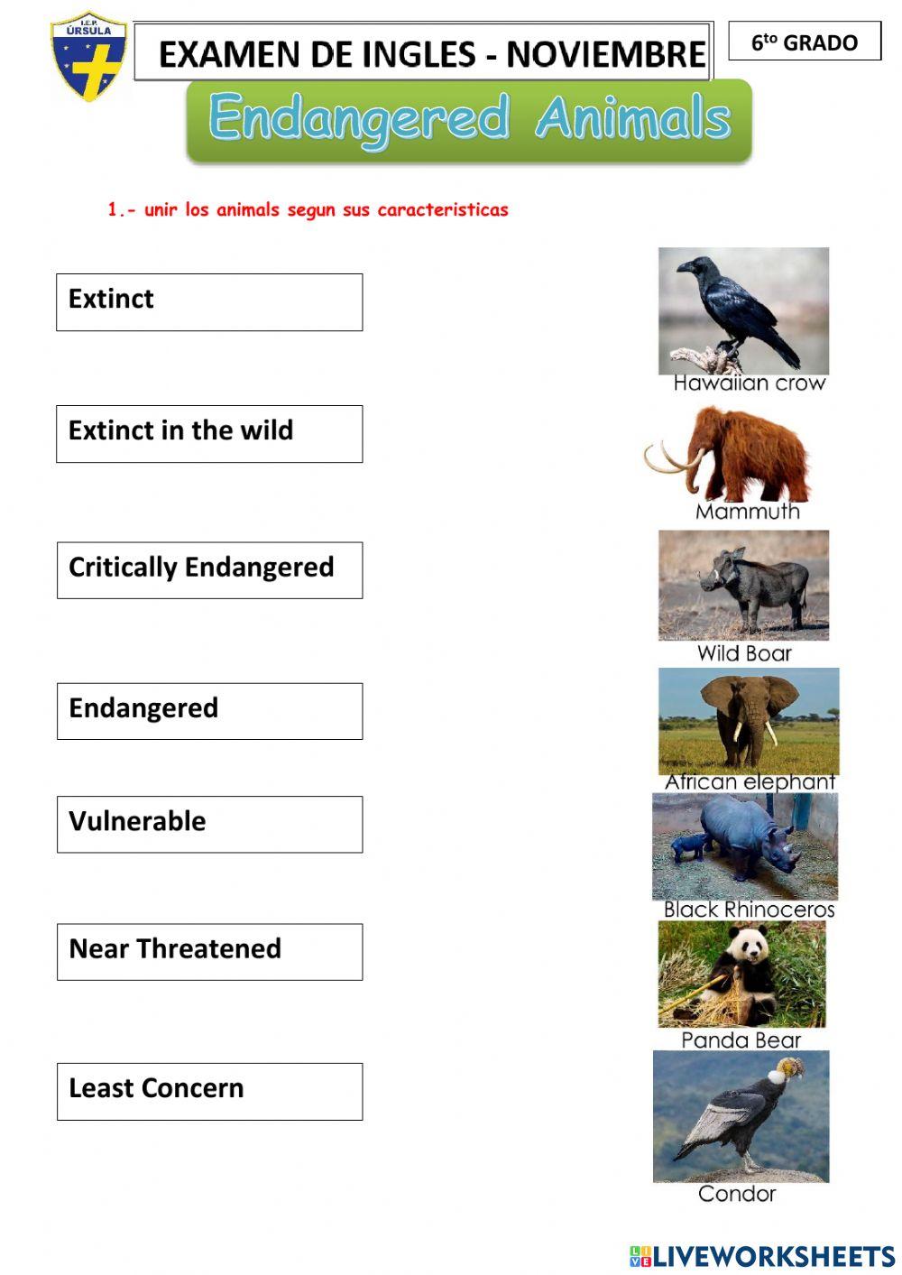 6 evaluacion noviembre