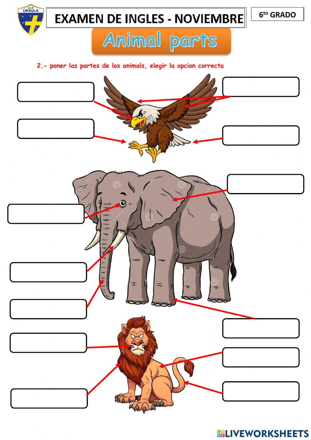6 evaluacion noviembre