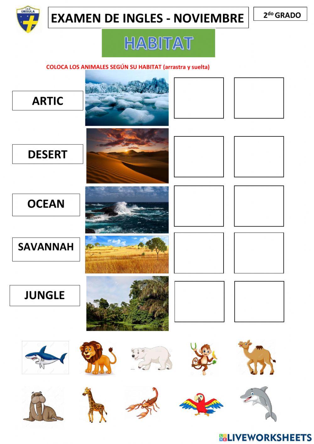 2 evaluacion noviembre