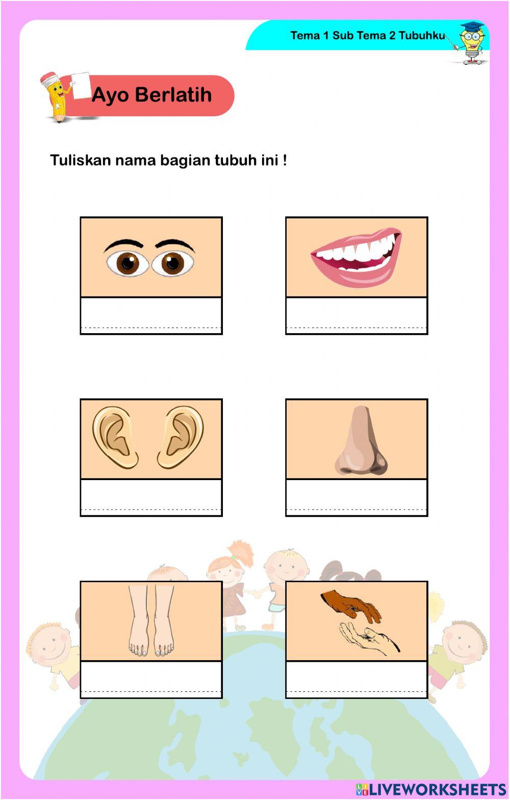 Lkpd tema 1 subtema 2 pembelajaran 3