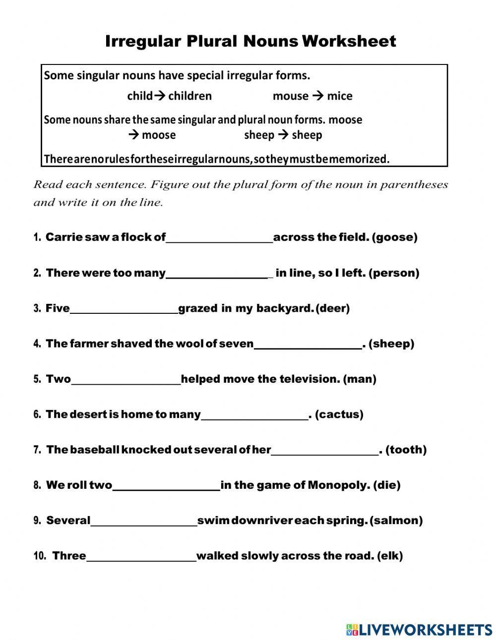 Irregular Plural Nouns