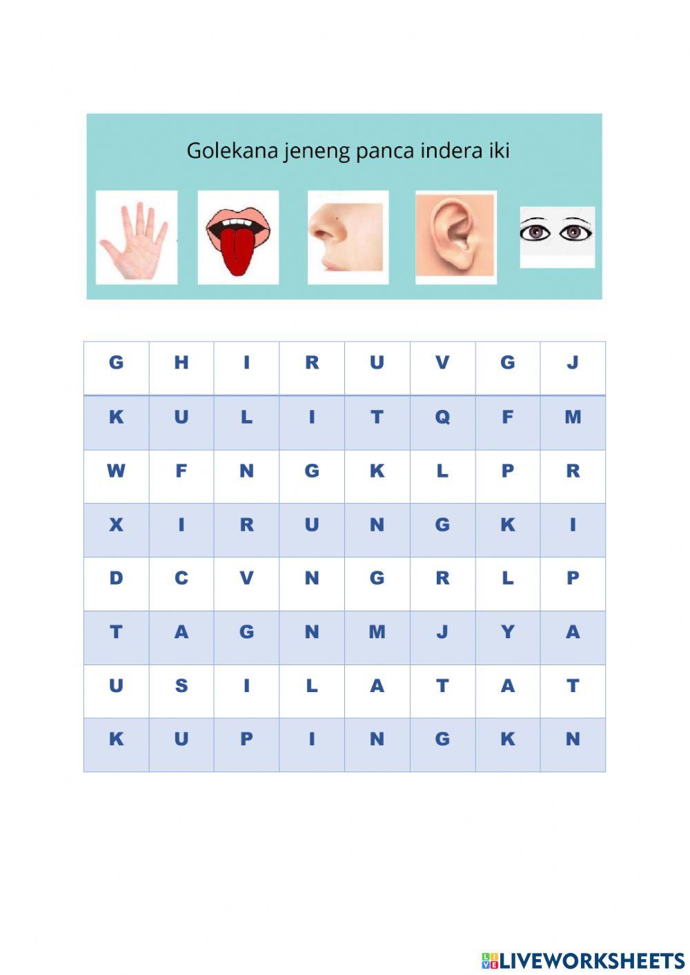 Word search puzzle -Panca Indera-